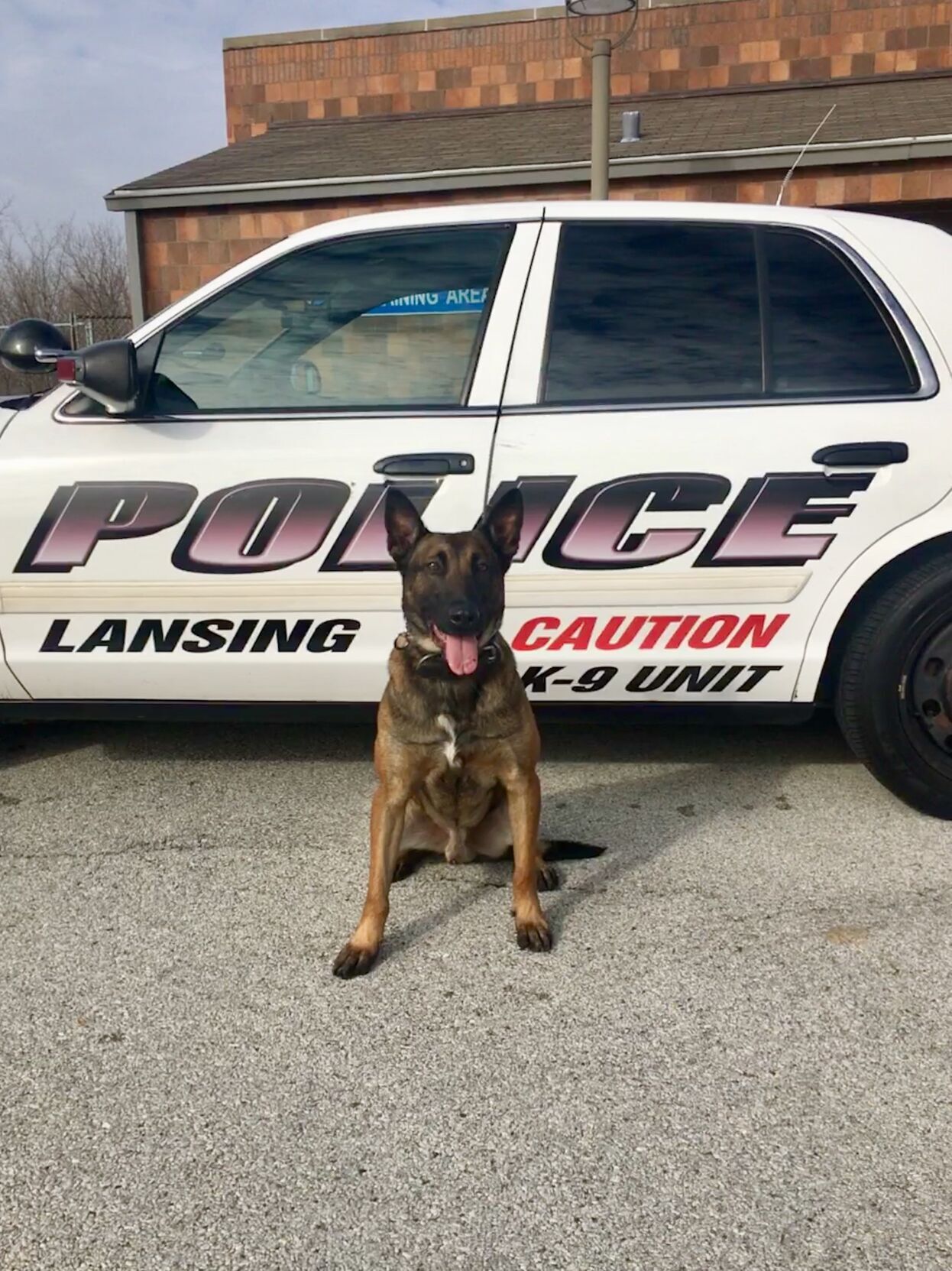 Lansing K-9 Rico
